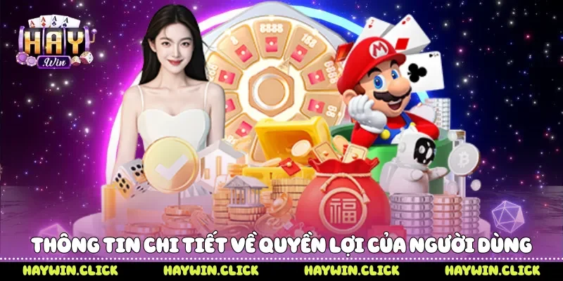 Quyền Riêng Tư - Cam Kết Bảo Vệ Thông Tin Người Dùng Haywin Thông tin chi tiết về quyền lợi của người dùng